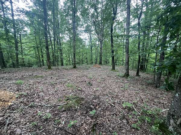 11.8 Acres of Land for Sale in Mount Pleasant, Tennessee