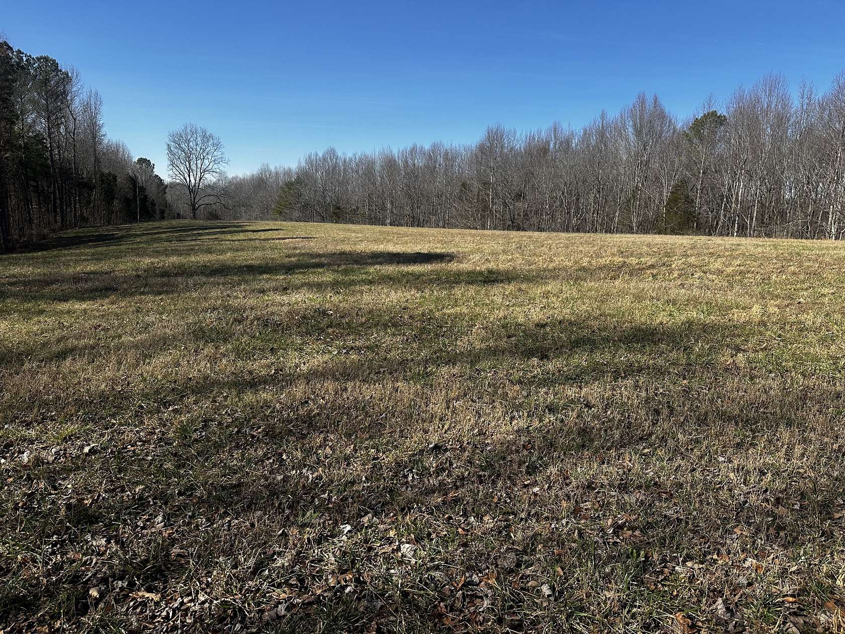 35.1 Acres of Recreational & Residential Land for Sale in Huntland, Tennessee