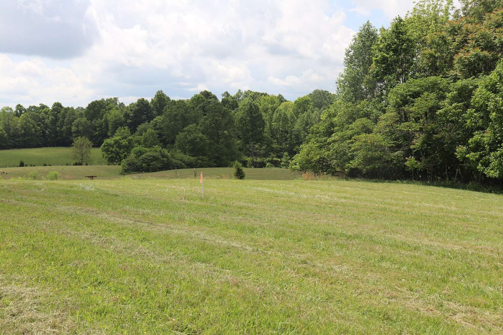 2 Acres of Residential Land for Sale in Lafayette, Tennessee