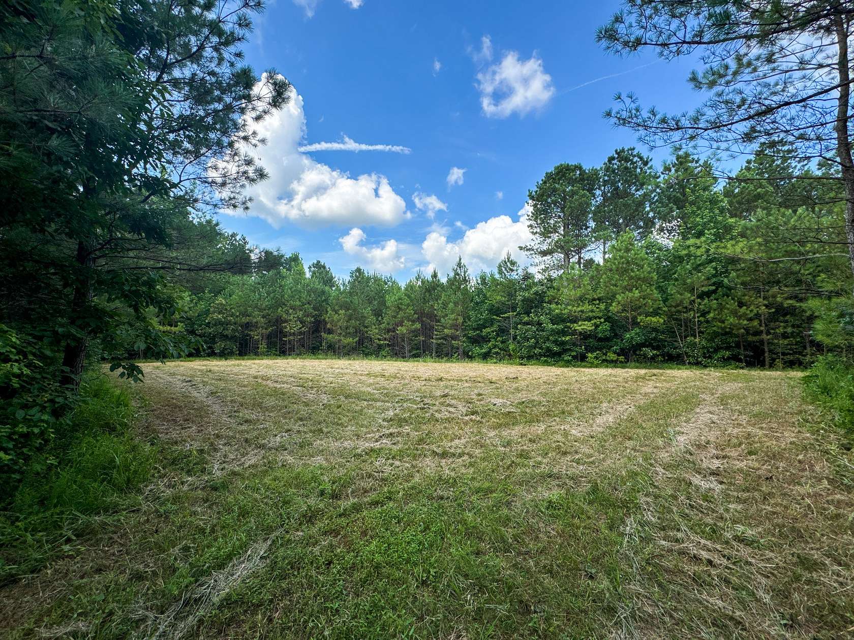 165 Acres of Land for Sale in Ramer, Tennessee