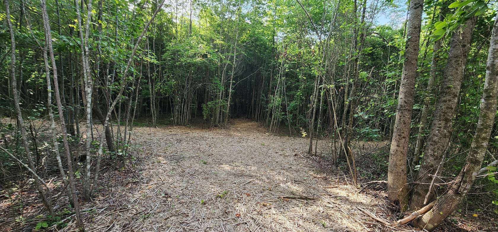 15.8 Acres of Land for Sale in Monteagle, Tennessee