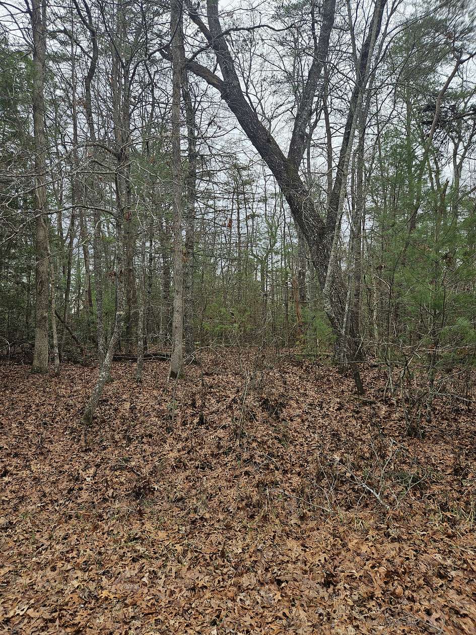 0.25 Acres of Residential Land for Sale in Crossville, Tennessee