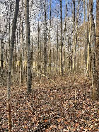 20 Acres of Recreational Land for Sale in Westmoreland, Tennessee