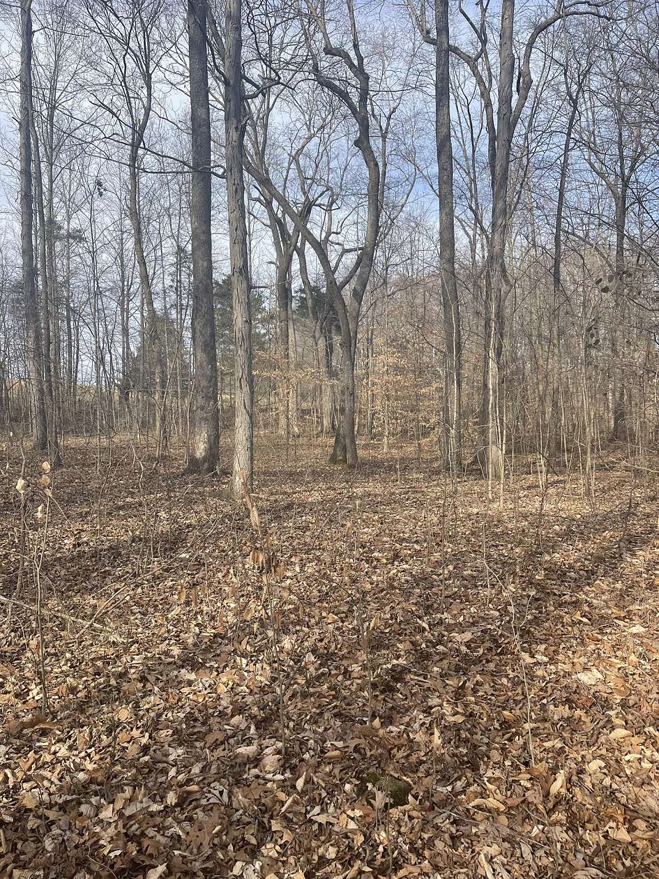 5.4 Acres of Residential Land for Sale in Portland, Tennessee