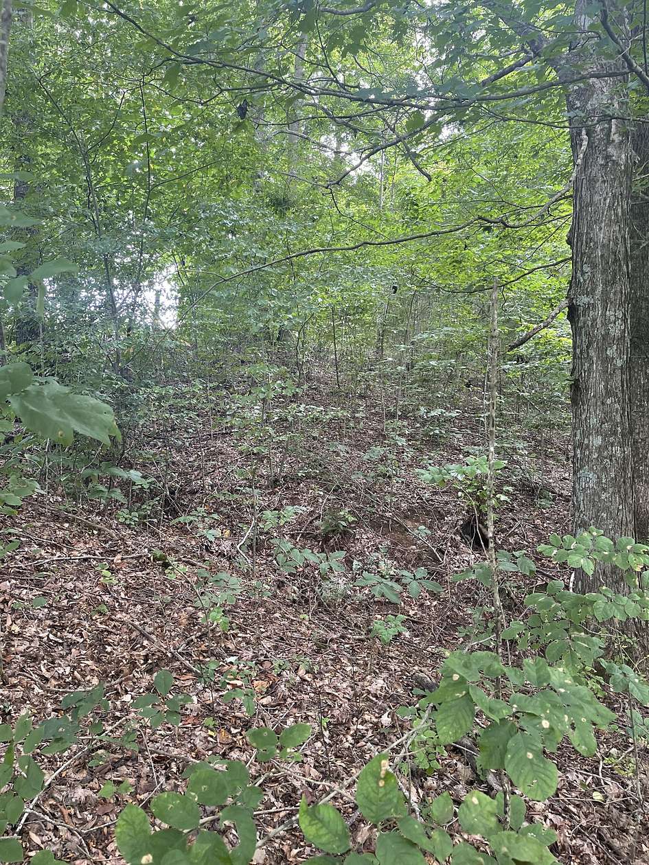 2.5 Acres of Residential Land for Sale in Lafayette, Tennessee