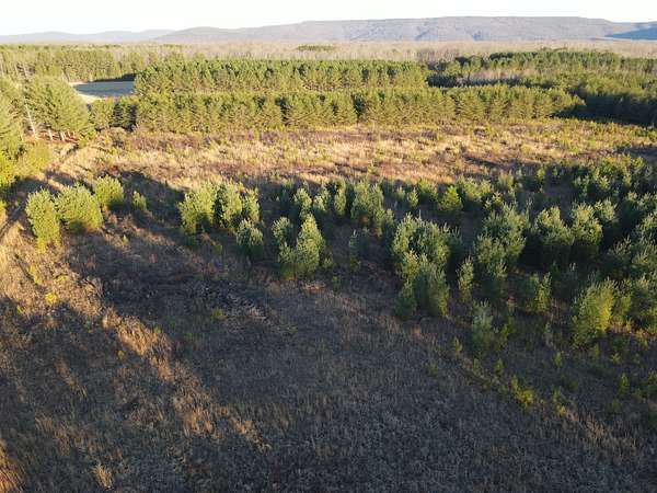 38 Acres of Land for Sale in Manchester, Tennessee