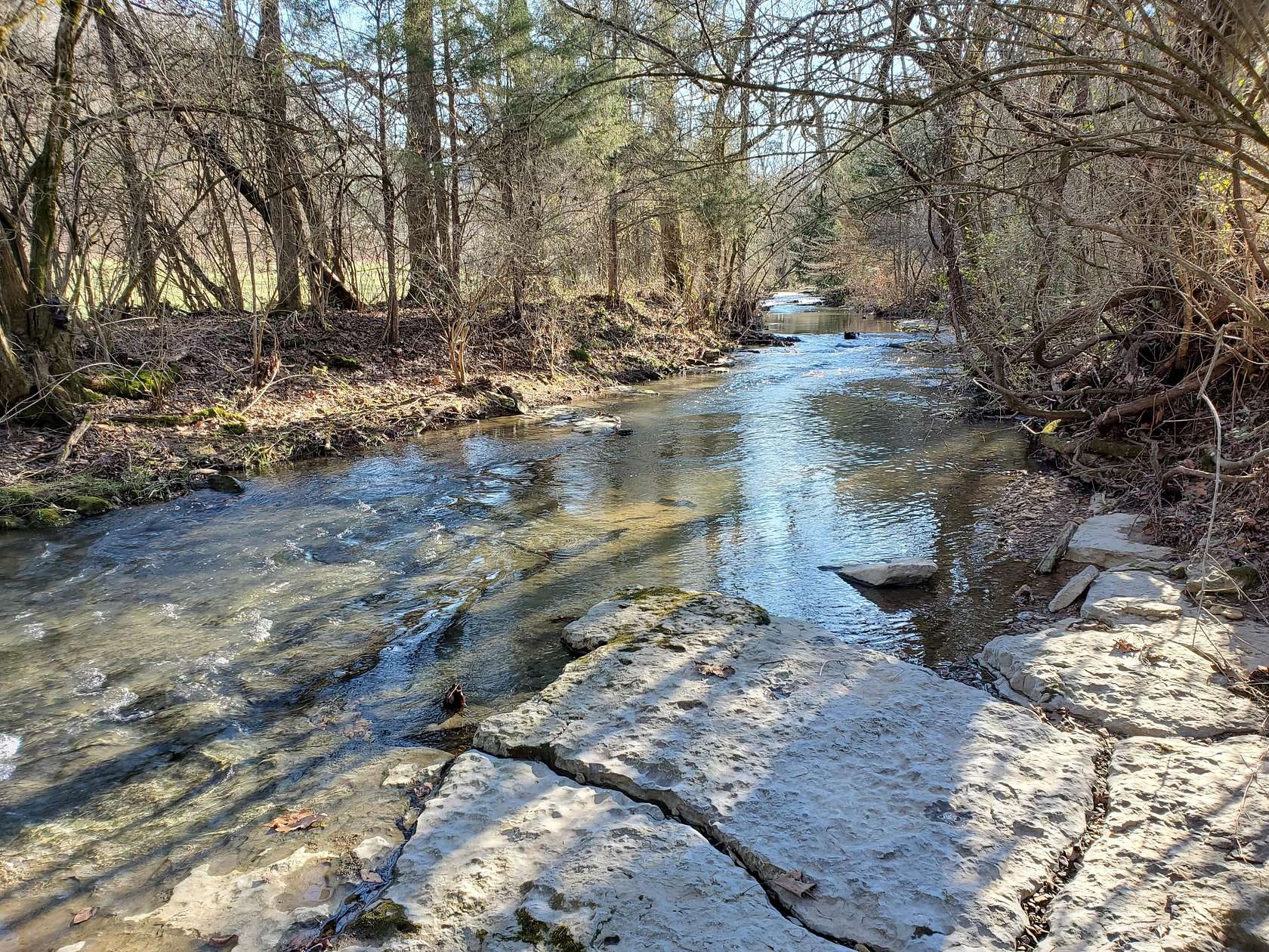 8.12 Acres of Residential Land for Sale in Nashville, Tennessee