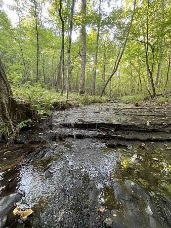 54 Acres of Recreational Land & Farm for Sale in Linden, Tennessee