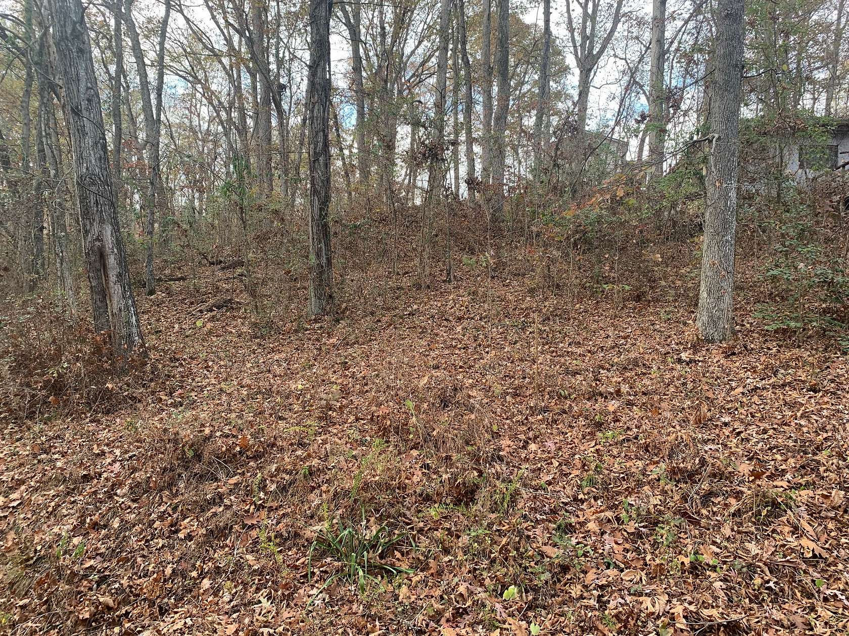 1.5 Acres of Land for Sale in Springville, Tennessee