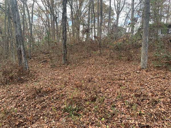 1.5 Acres of Land for Sale in Springville, Tennessee