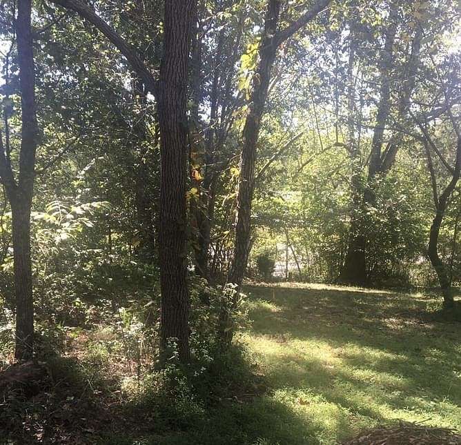 0.65 Acres of Residential Land for Sale in Franklin, Tennessee