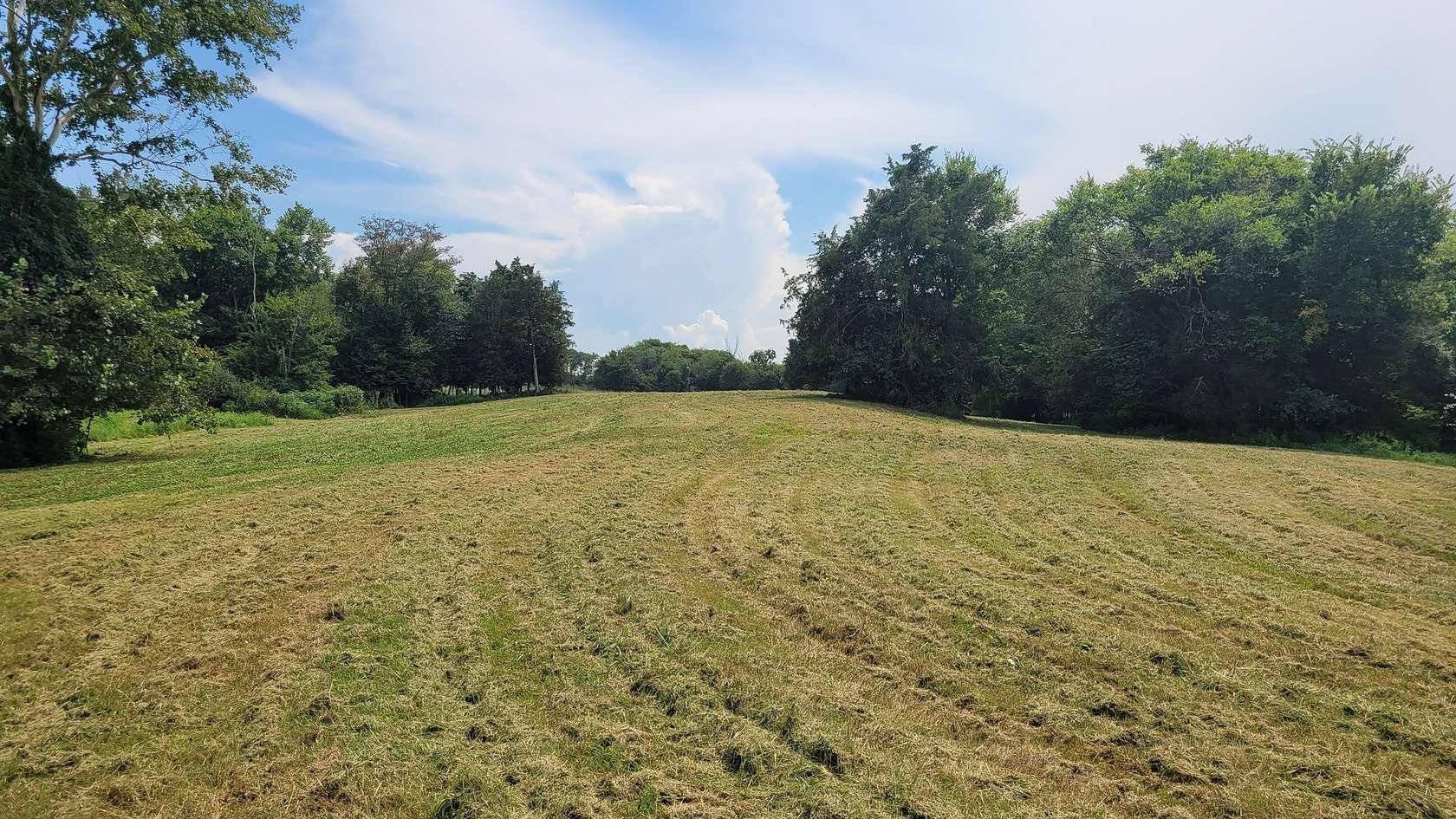 11.7 Acres of Land for Sale in Shelbyville, Tennessee