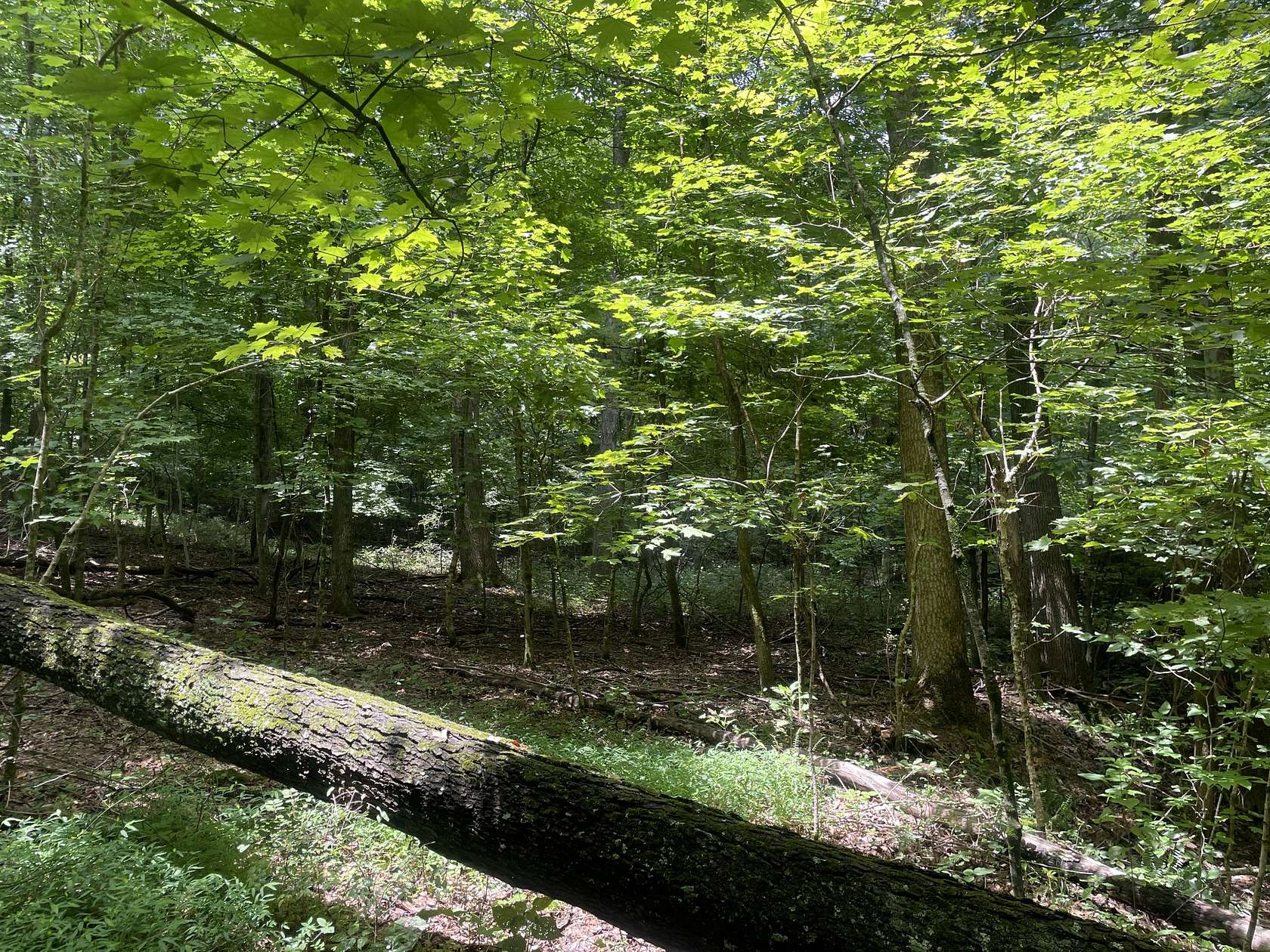 2.33 Acres of Residential Land for Sale in Hendersonville, Tennessee