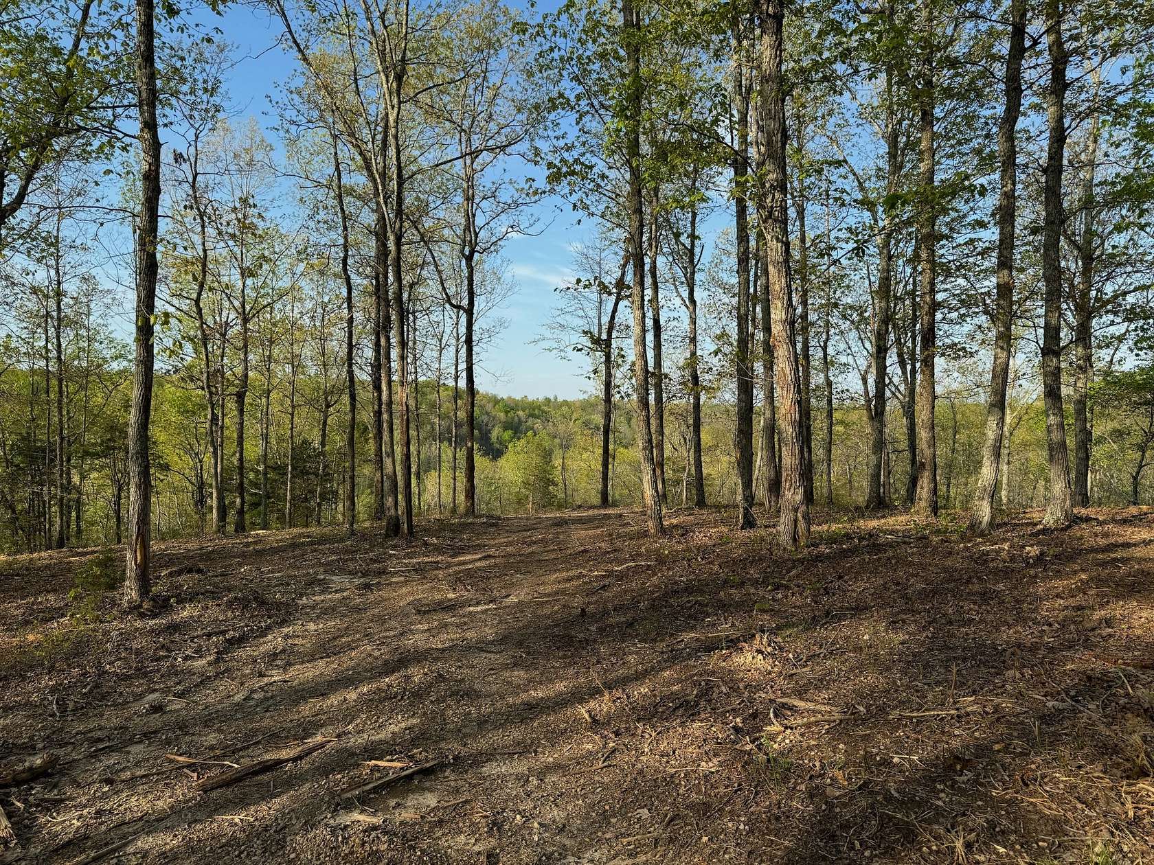 23.8 Acres of Agricultural Land for Sale in Linden, Tennessee