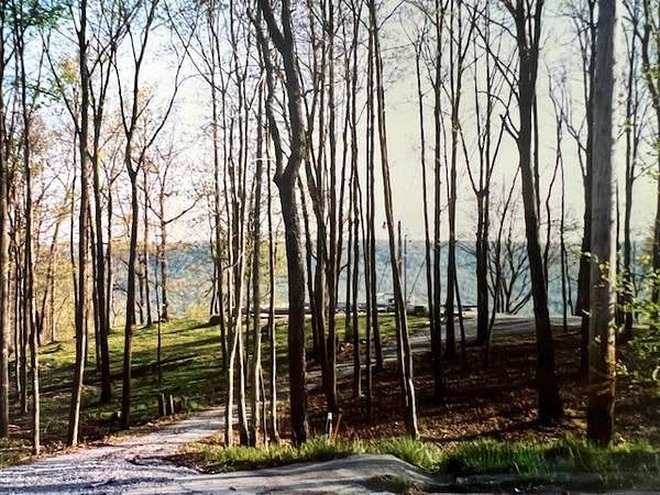 3.38 Acres of Residential Land for Sale in Monteagle, Tennessee