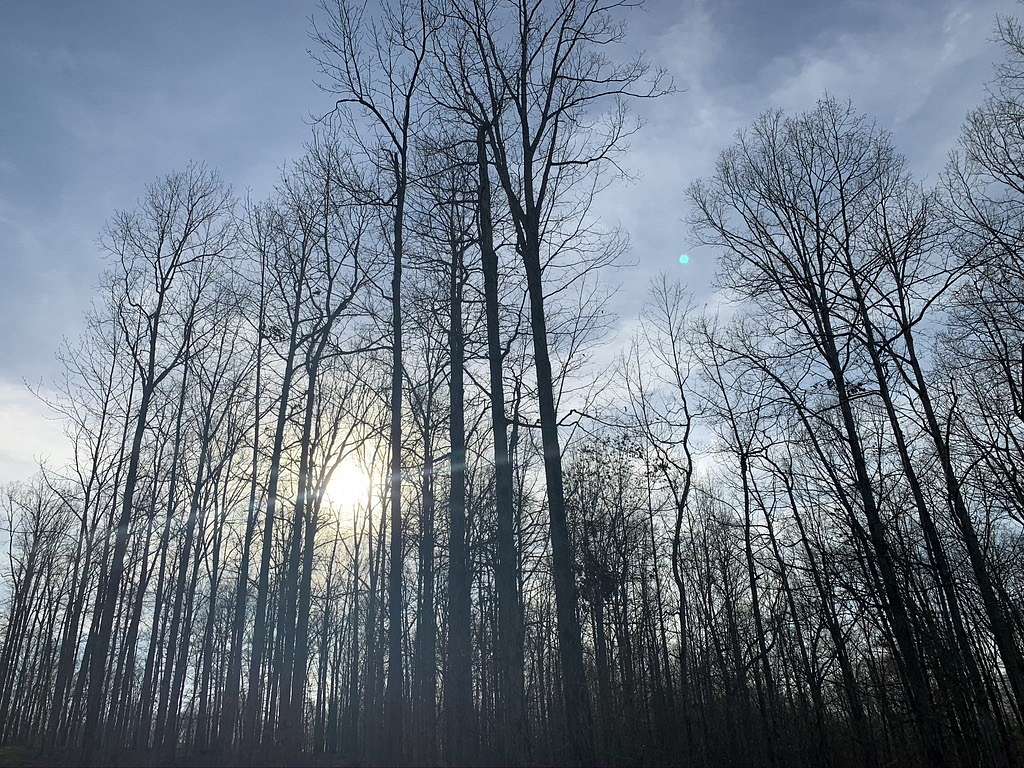 2 Acres of Residential Land for Sale in McEwen, Tennessee