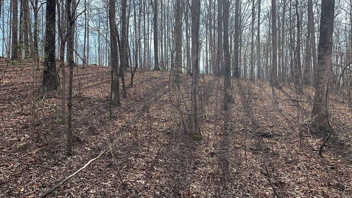 2 Acres of Residential Land for Sale in McEwen, Tennessee