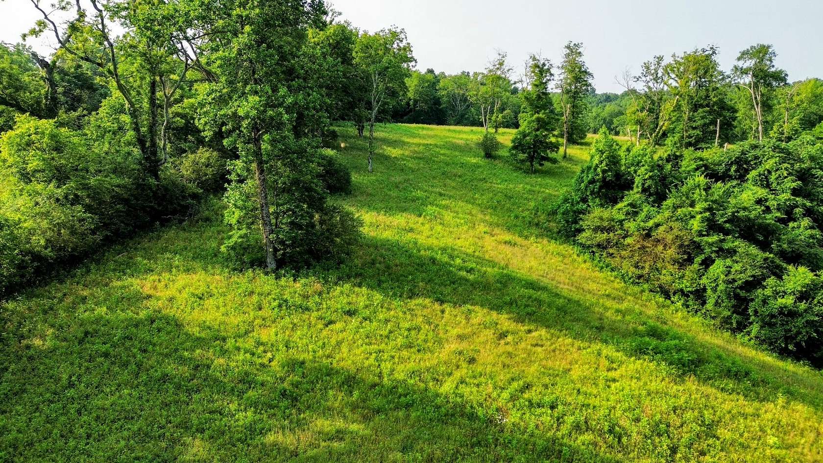 29 Acres of Agricultural Land for Sale in Pulaski, Tennessee