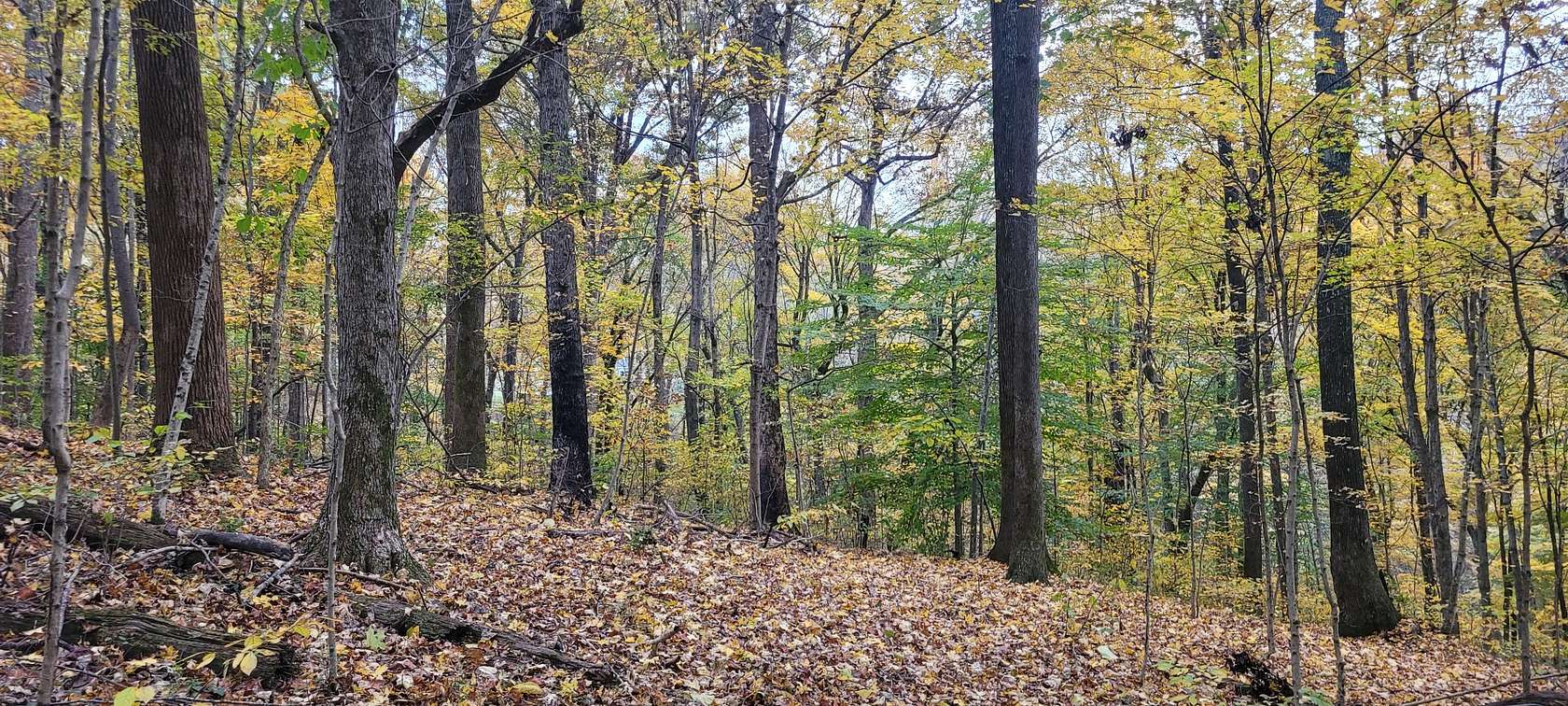 9.75 Acres of Residential Land for Sale in Spring Hill, Tennessee