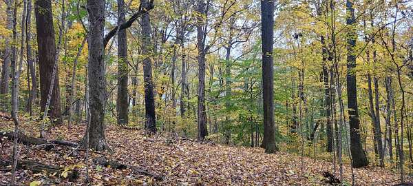 9.75 Acres of Residential Land for Sale in Spring Hill, Tennessee