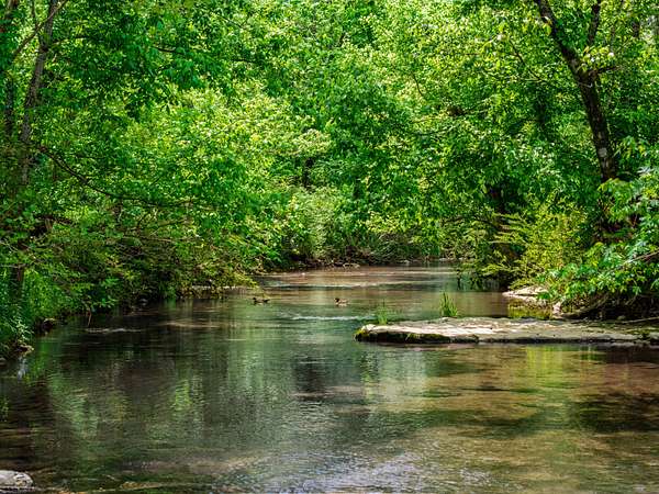 37.8 Acres of Land for Sale in Fayetteville, Tennessee