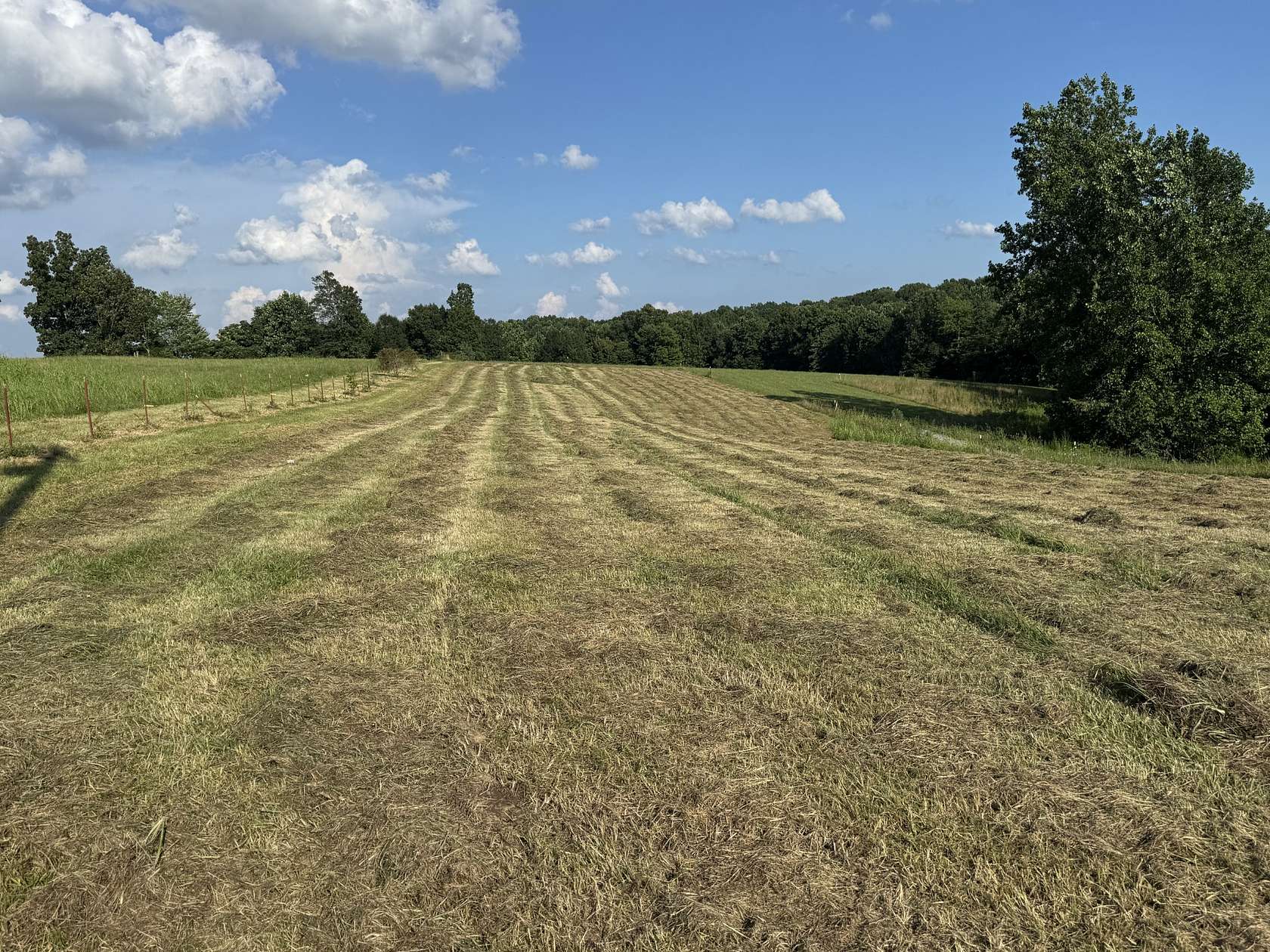 1 Acre of Residential Land for Sale in Lafayette, Tennessee