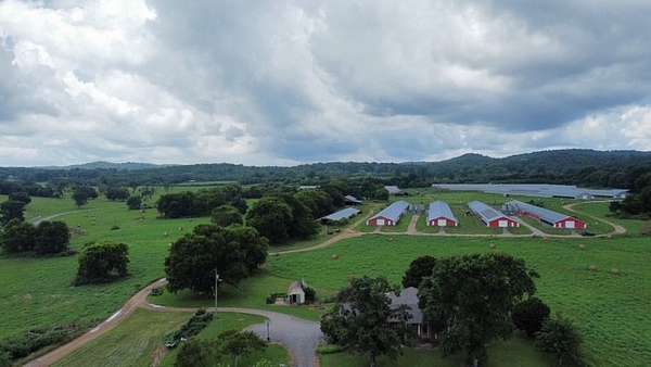 82.8 Acres of Agricultural Land for Sale in Petersburg, Tennessee