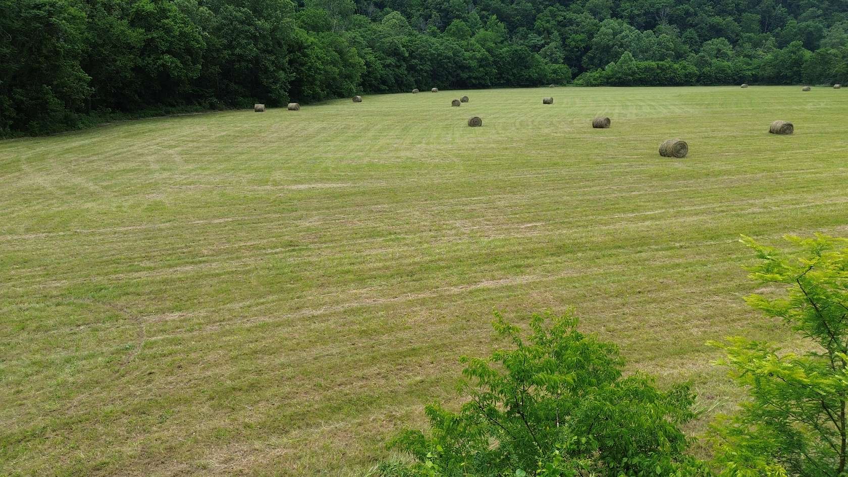 19 Acres of Agricultural Land for Sale in Dowelltown, Tennessee