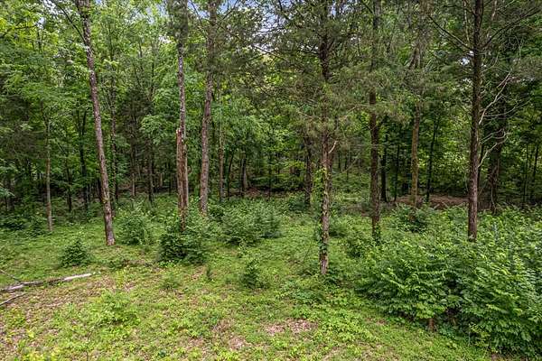 4 Acres of Residential Land for Sale in Antioch, Tennessee