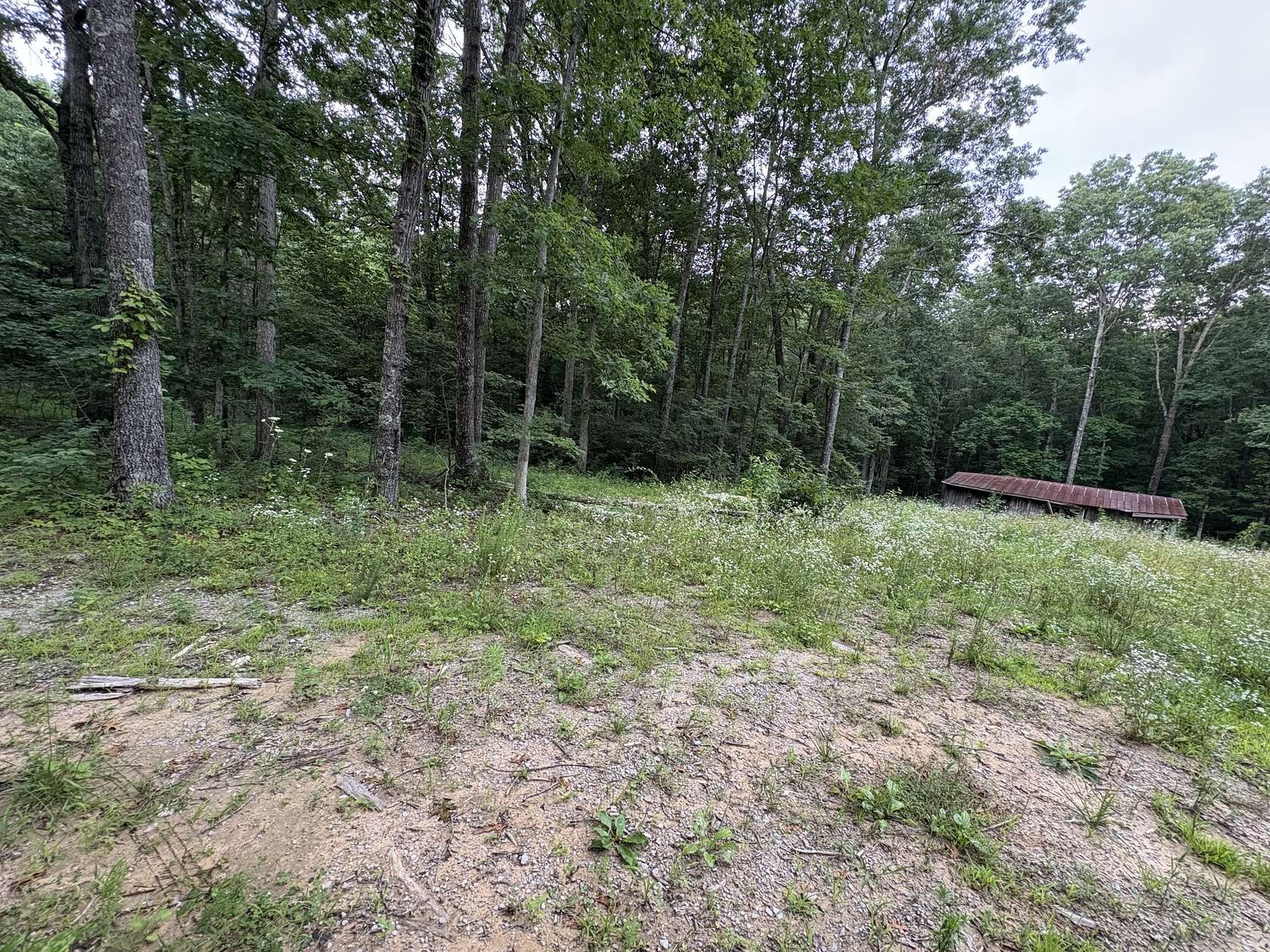 42.7 Acres of Land for Sale in Altamont, Tennessee