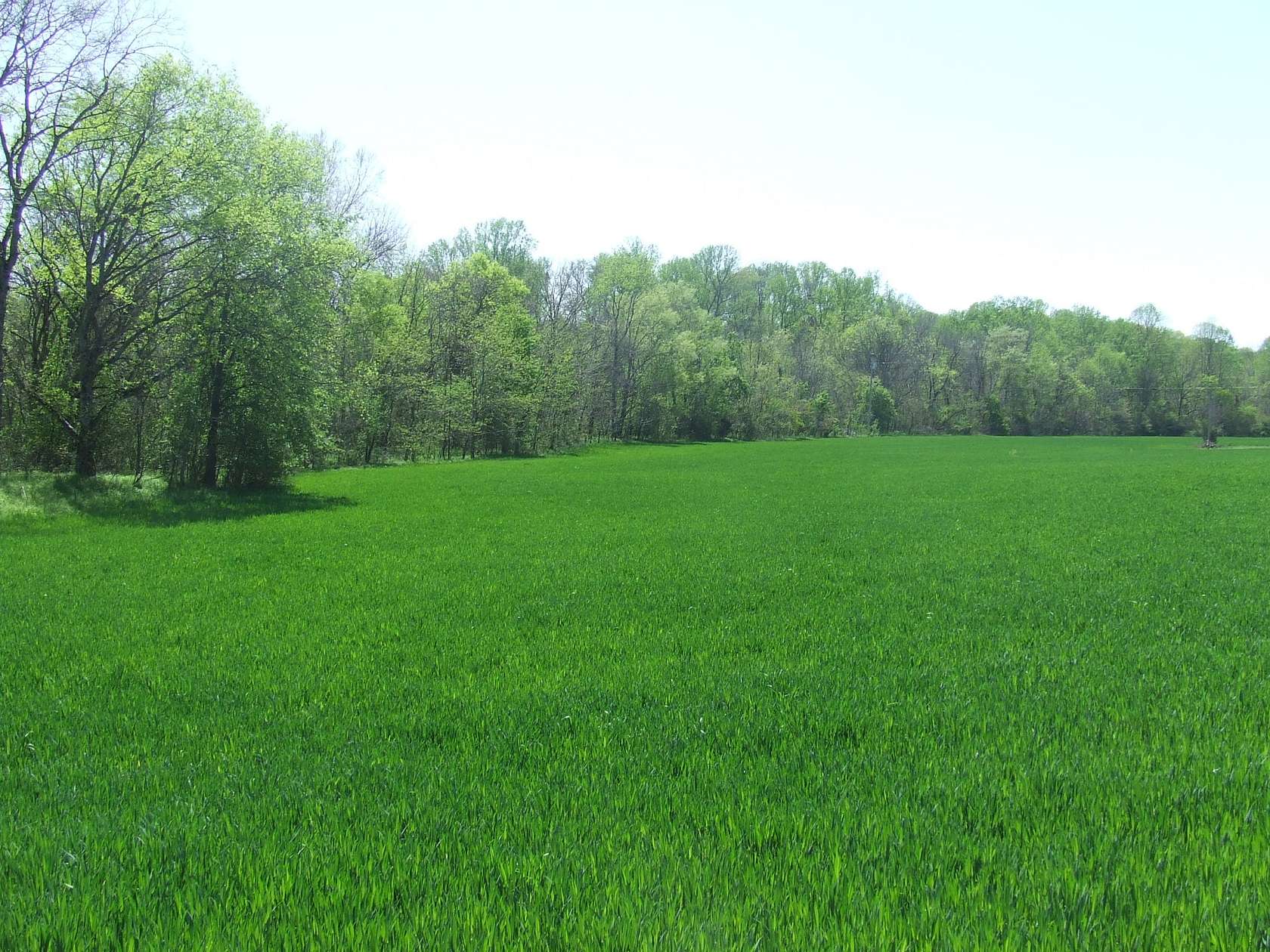 9 Acres of Land for Sale in Morrison, Tennessee