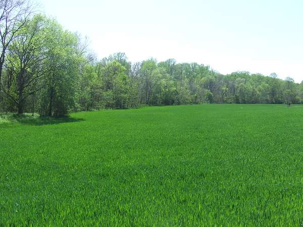 9 Acres of Land for Sale in Morrison, Tennessee