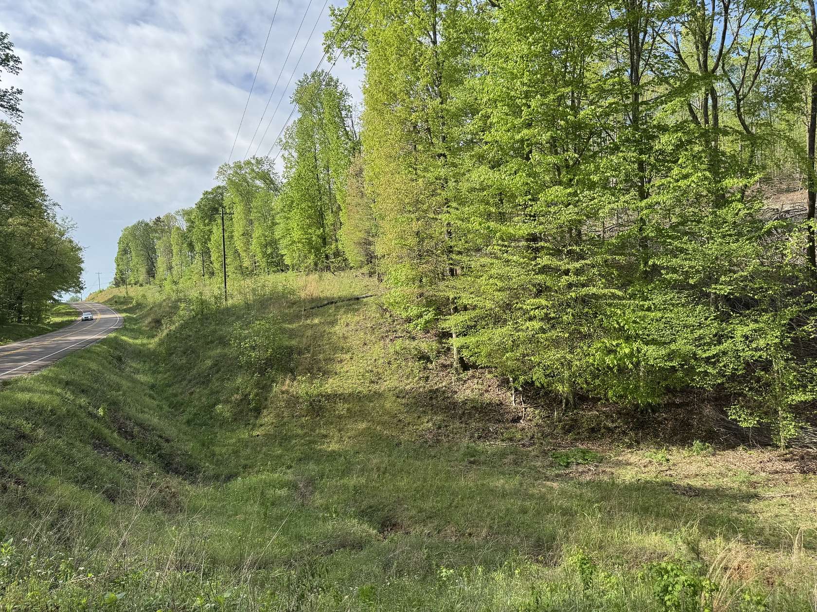 83.7 Acres of Land for Sale in Waynesboro, Tennessee