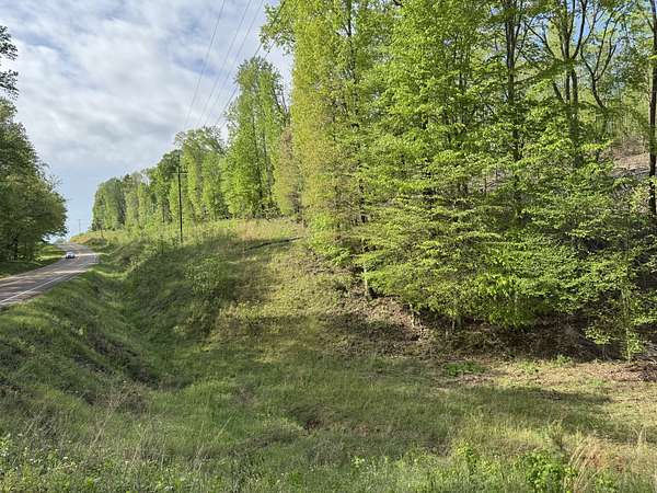 83.7 Acres of Land for Sale in Waynesboro, Tennessee