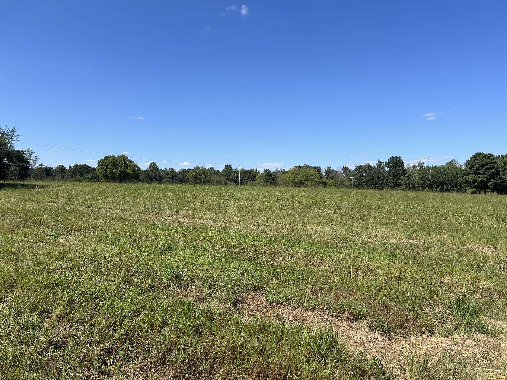 5.7 Acres of Land with Home for Sale in Loretto, Tennessee