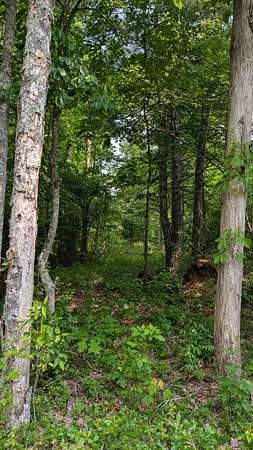 0.26 Acres of Residential Land for Sale in Crossville, Tennessee