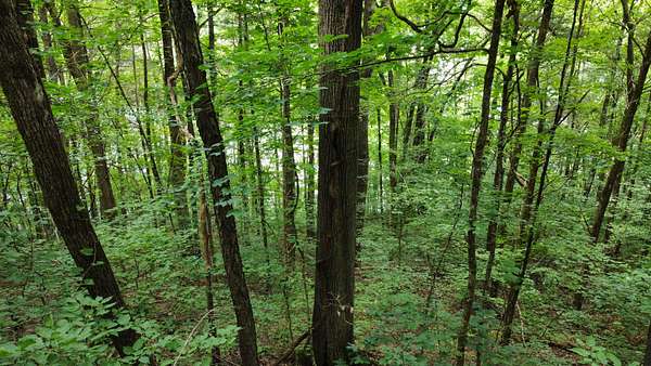 0.24 Acres of Residential Land for Sale in Smithville, Tennessee