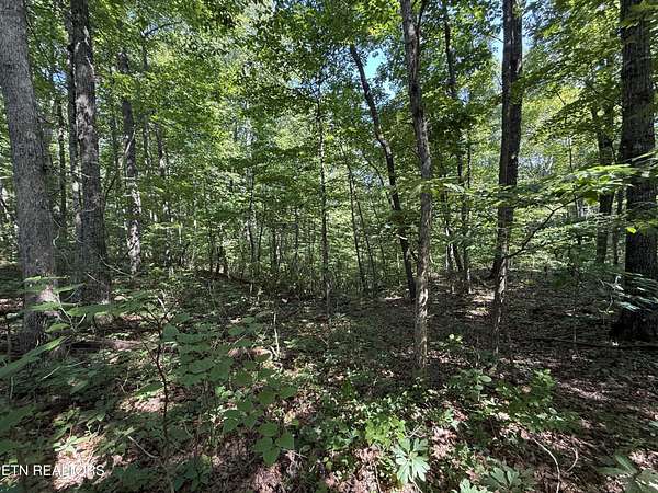 6.4 Acres of Residential Land for Sale in Monterey, Tennessee