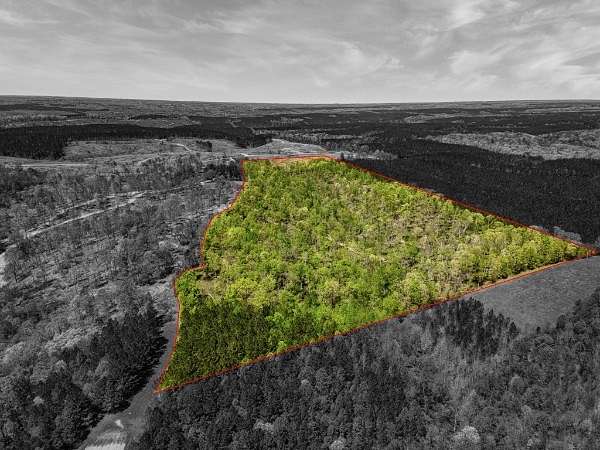 37.7 Acres of Recreational Land for Sale in Iron City, Tennessee