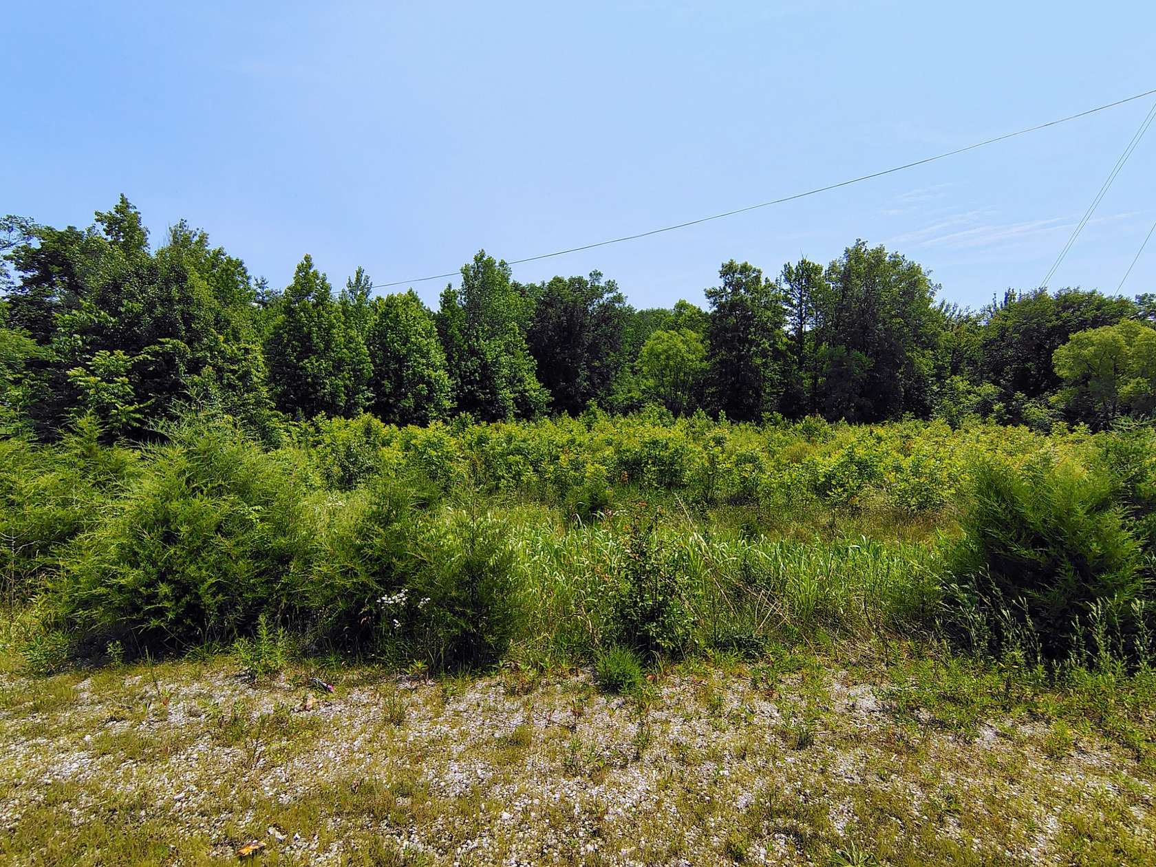 5.7 Acres of Land for Sale in Livingston, Tennessee