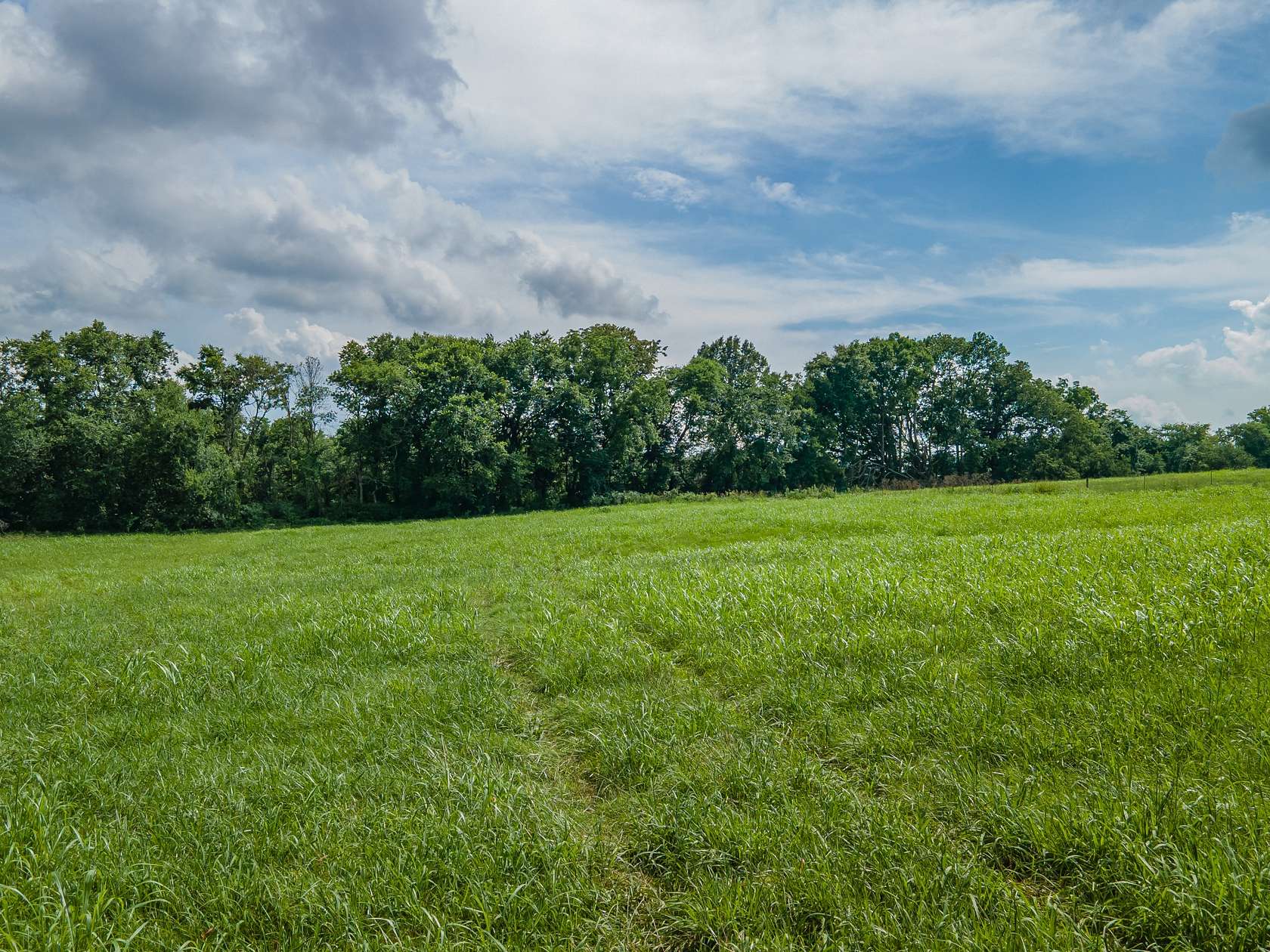 13.8 Acres of Land for Sale in Columbia, Tennessee