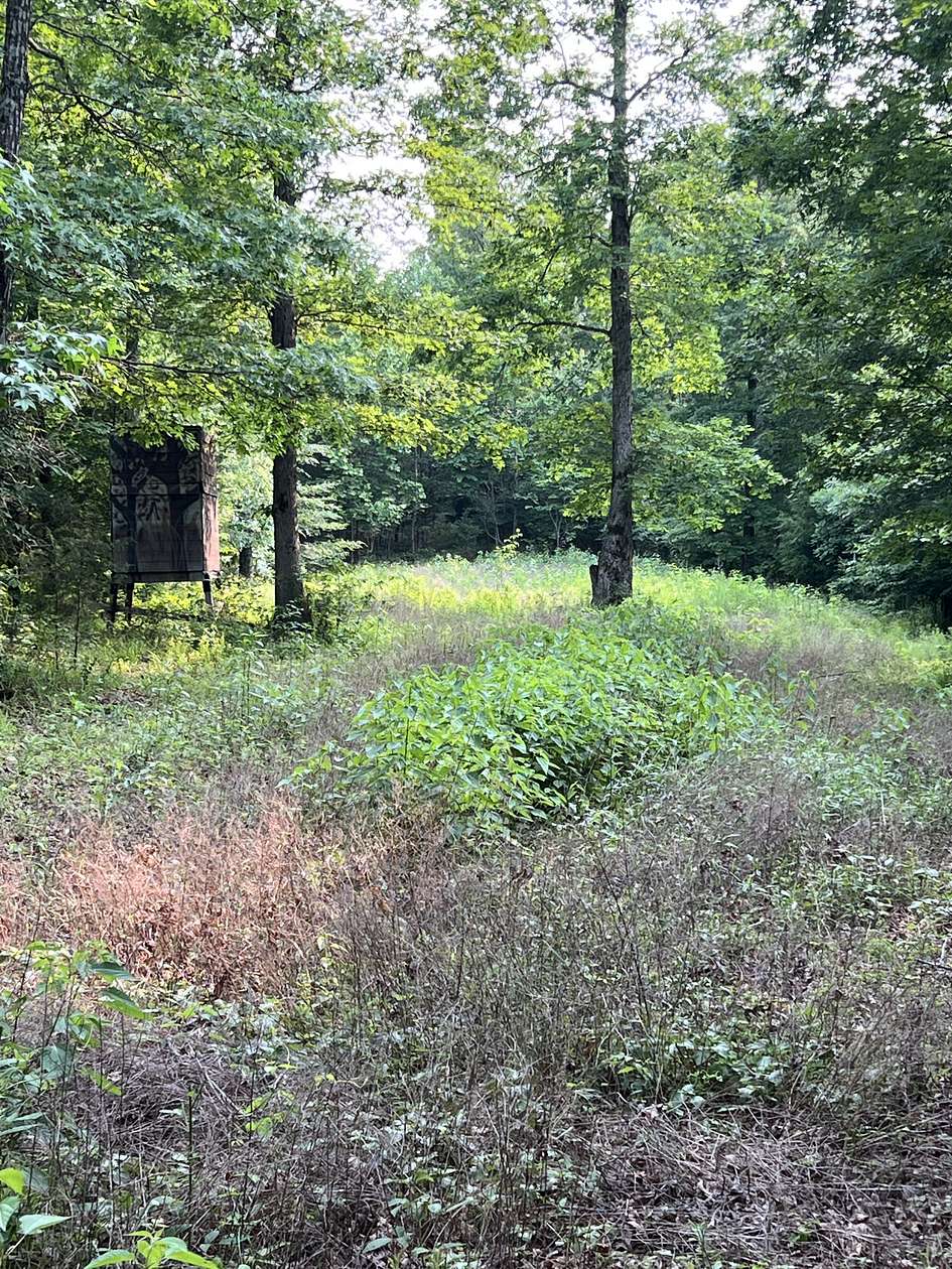 735 Acres of Recreational Land for Sale in Hohenwald, Tennessee