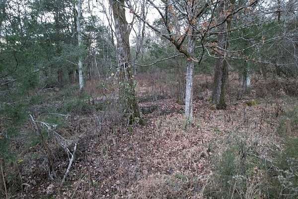 16.6 Acres of Land for Sale in Pulaski, Tennessee