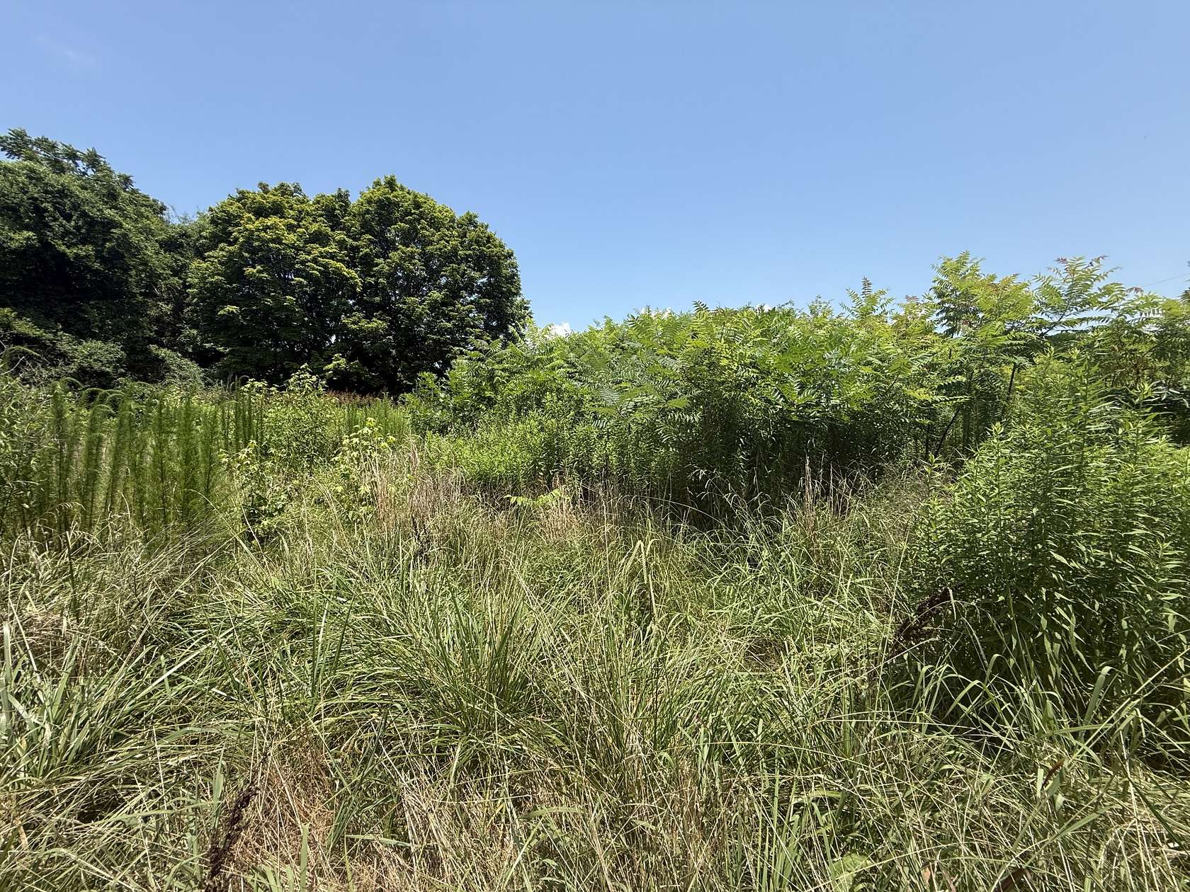 0.52 Acres of Residential Land for Sale in Winchester, Tennessee