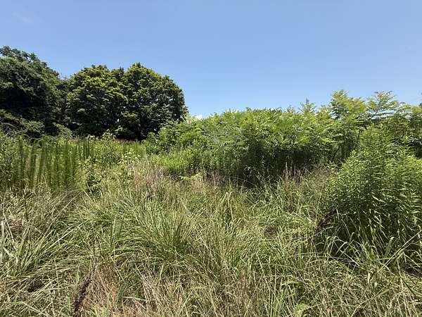 0.52 Acres of Residential Land for Sale in Winchester, Tennessee