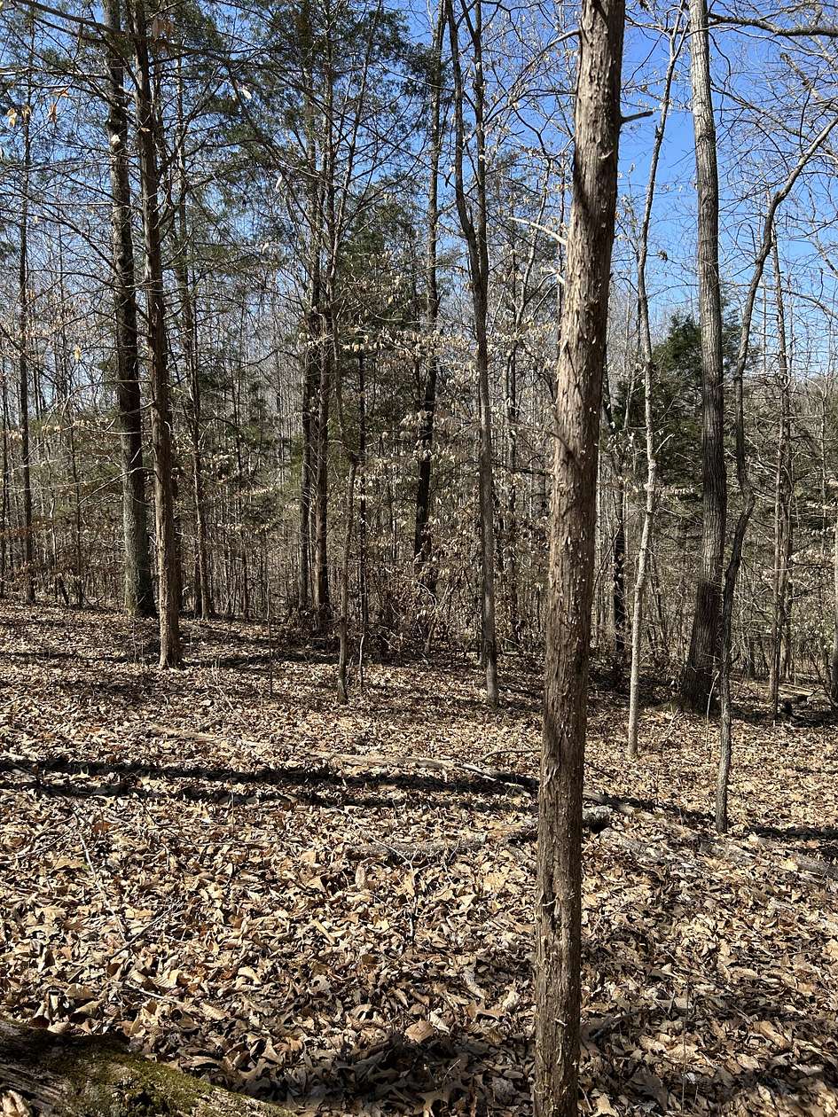 5 Acres of Residential Land for Sale in Dickson, Tennessee