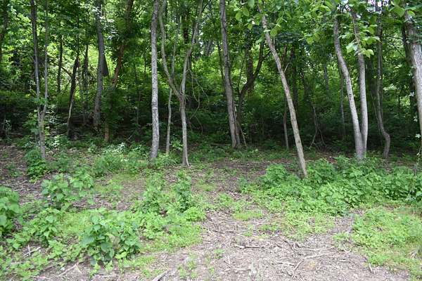 1 Acre of Residential Land for Sale in Carthage, Tennessee