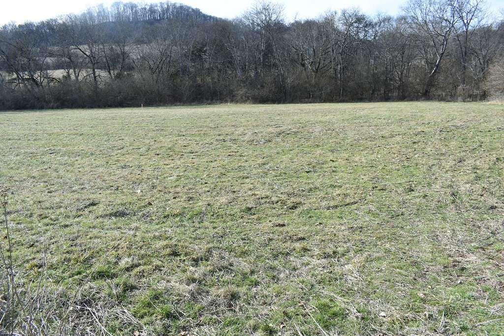 1 Acre of Residential Land for Sale in Gainesboro, Tennessee