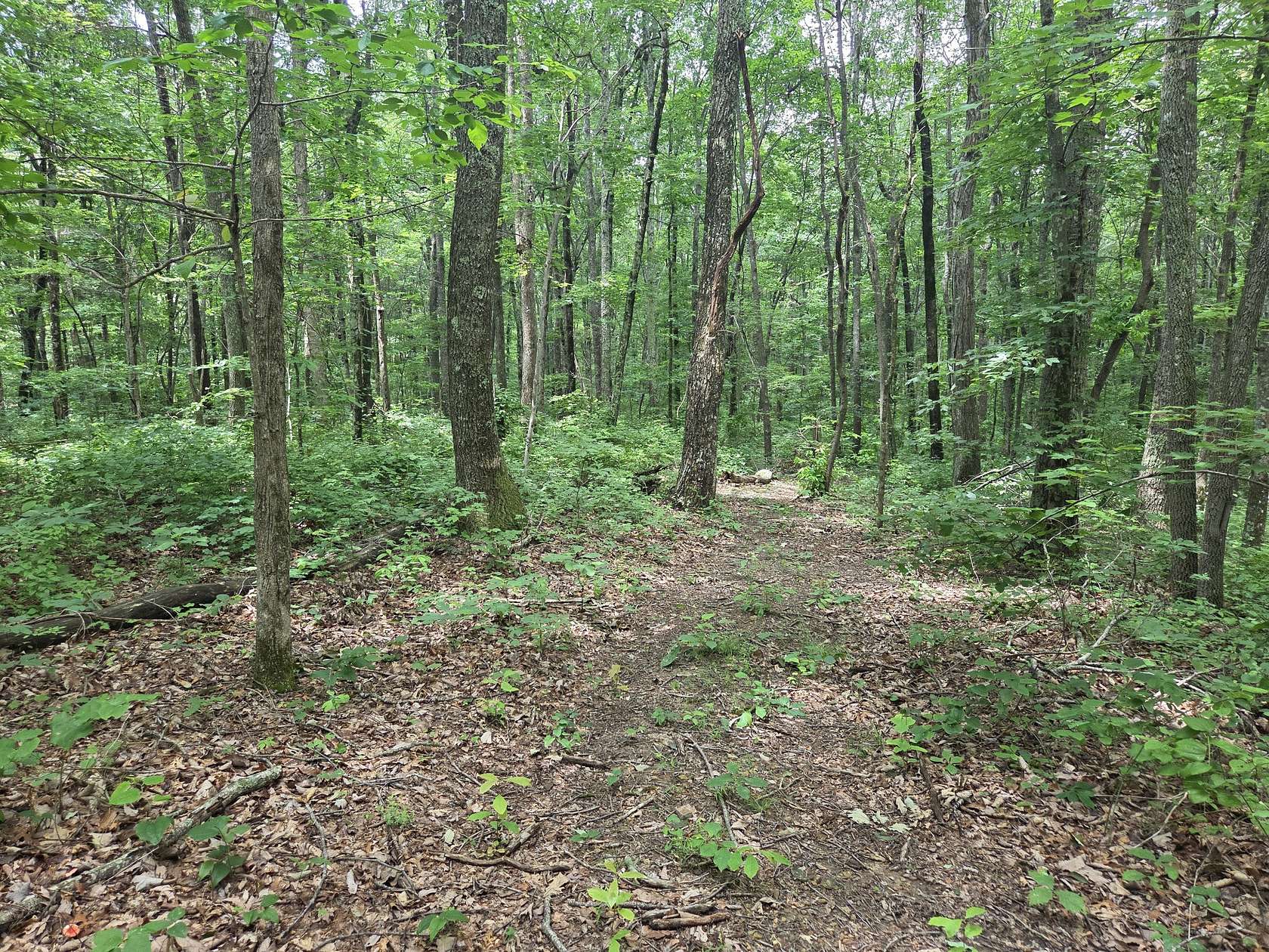 7.85 Acres of Residential Land for Sale in Altamont, Tennessee