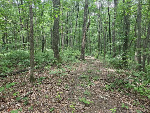 7.85 Acres of Residential Land for Sale in Altamont, Tennessee